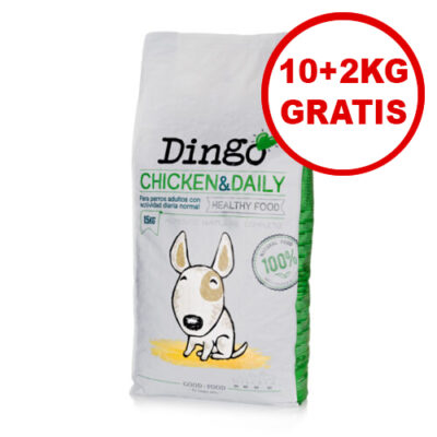 Dingo Pollo 10 + 2kg GRATIS