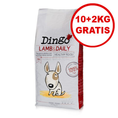 Dingo Cordero 10 + 2kg GRATIS
