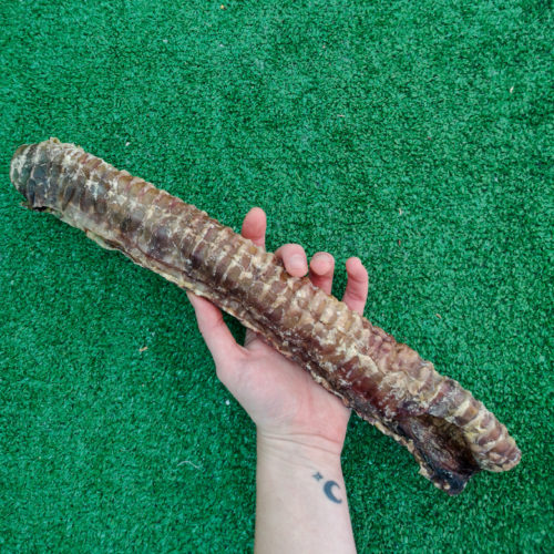 Tráquea de Ternera XXL