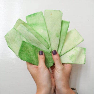 Lenguas Dentales con Spirulina