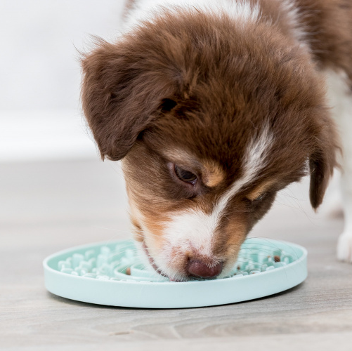 Bandeja para lamer Puppy