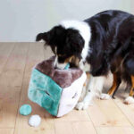 Cubo Interactivo con 4 pelotas