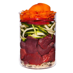 Terra Canis Grain Free Ternera con Calabacín, Calabaza y Orégano