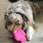 Mordedor Huella - Imagen 3