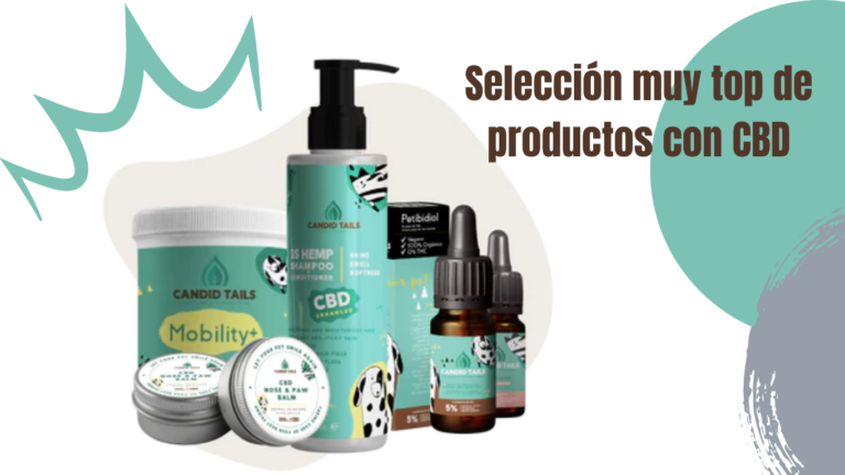 Crema Marrón Fotográfico Belleza Plataforma Lanzamiento Sitio Web (4)