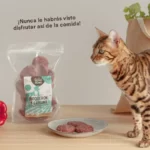 Wild Balance Menú de Boquerón y Sardina para Gatos