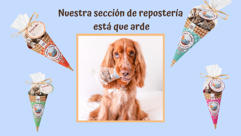 Nueva Repostería