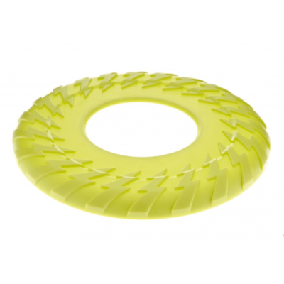 Frisbee Flash