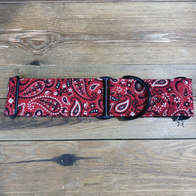 Talla L | Collar 1