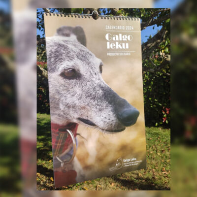 Calendario Galgoleku 2024 Solidario