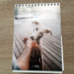 Calendario Galgoleku 2024 Solidario