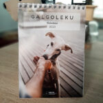 Calendario Galgoleku 2024 Solidario