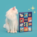 Calendario de Adviento para GATOS
