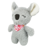 Baby Koala