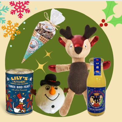 Pack Navideño Perruno