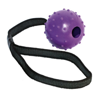 Pelota de Goma con Cuerda