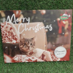 Calendario de Adviento Gato