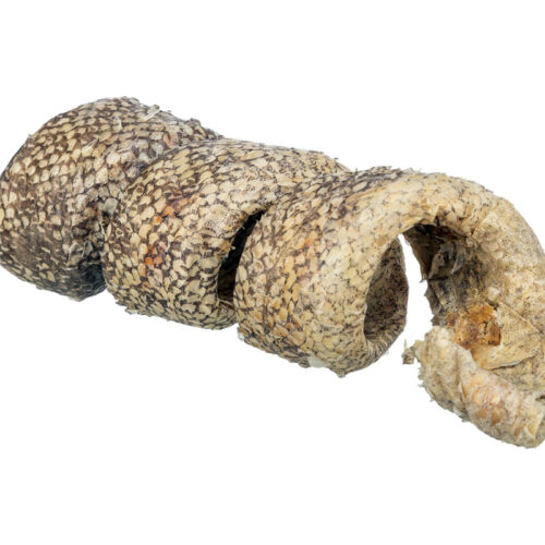 Espiral de Bacalao