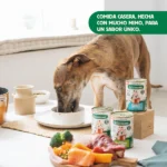 Wild Balance Ragut Tradicional