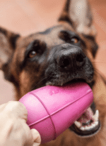 Conic Dogball Grande Lila