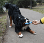 Rucan Sky Rings Grande