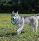 Rucan Sky Rings Grande