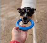 Rucan Sky Rings Mediano