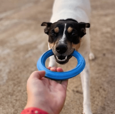 Rucan Sky Rings Mediano