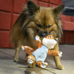 Kong Floppy Knots Zorro