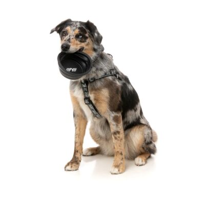 Comedero Bebedero Plegable de Silicona Negro