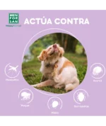 Men For San Pipetas Anti-insectos para Perros 2 unidades