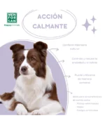 Men For San Pipetas Calmantes para Perros 2 unidades