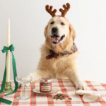 Bocaditos Navideños Wild Balance