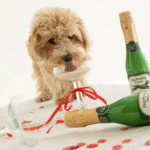 Kéfir de Vaca para Perros y Gatos Dog Peridog - Imagen 3