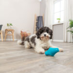 Rombo Rellenable 12 cm