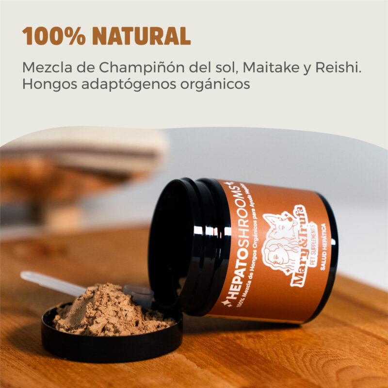 Super Snouts HepatoShrooms